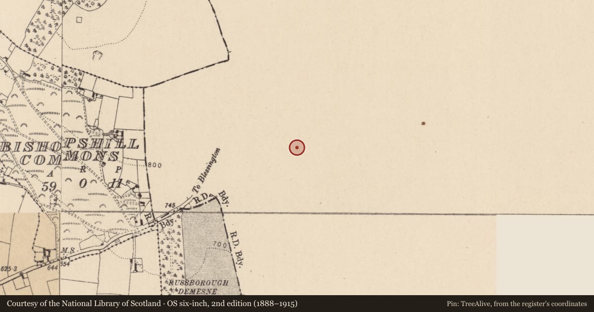 Ordnance Survey six-inch map, 2nd edition (1888–1915) covering the location of Enclosure, Russborough, County Wicklow, with a pin at the register's coordinates