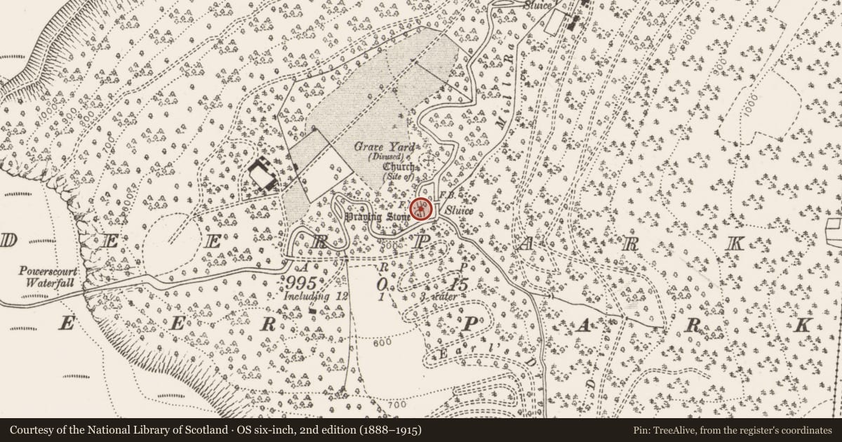 Ordnance Survey six-inch map, 2nd edition (1888–1915) covering the location of Bullaun stone, Deerpark, County Wicklow, with a pin at the register's coordinates