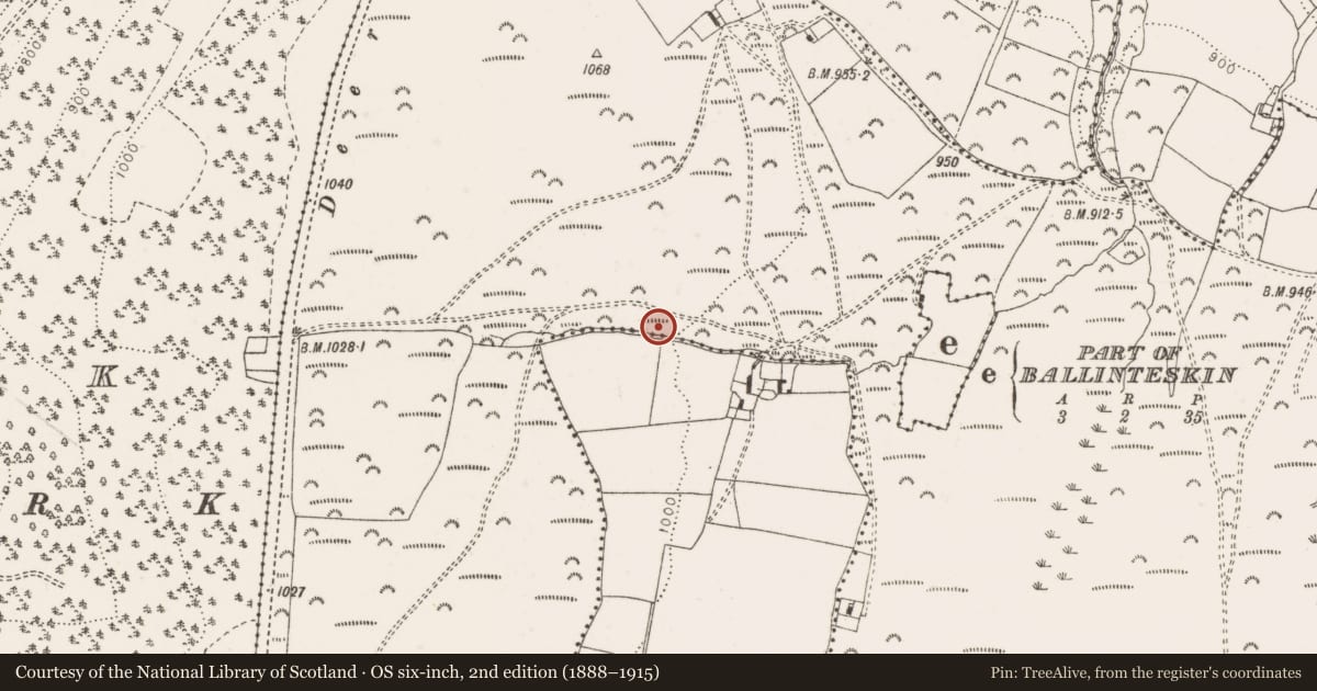 Ordnance Survey six-inch map, 2nd edition (1888–1915) covering the location of Mound, Ballyremon Commons, County Wicklow, with a pin at the register's coordinates