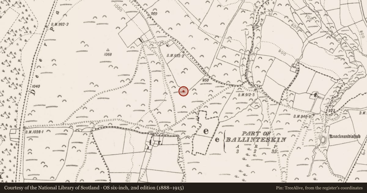 Ordnance Survey six-inch map, 2nd edition (1888–1915) covering the location of Barrow - bowl-barrow, Ballyremon Commons, County Wicklow, with a pin at the register's coordinates