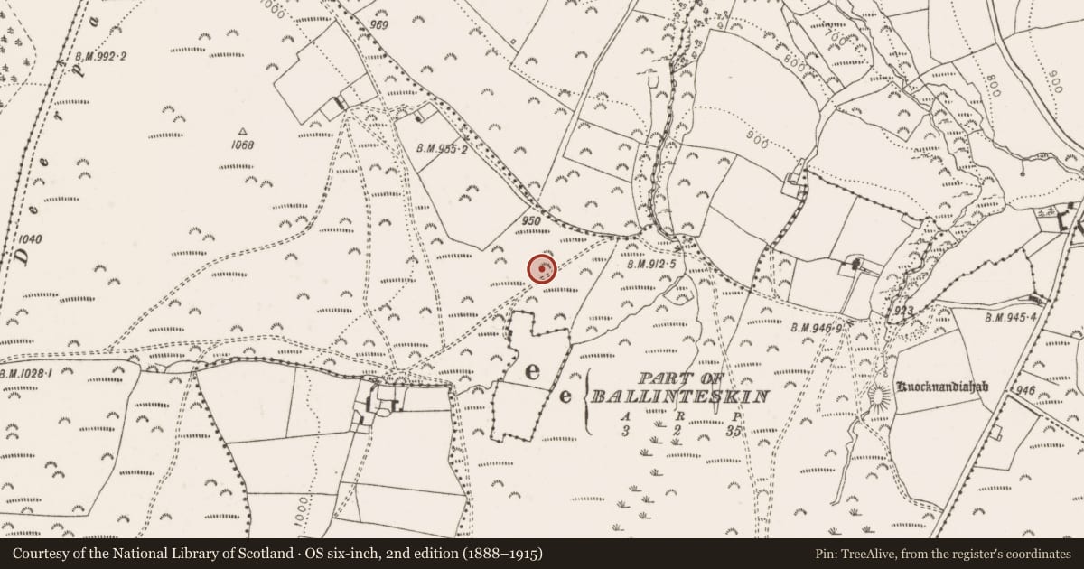 Ordnance Survey six-inch map, 2nd edition (1888–1915) covering the location of Settlement cluster, Ballyremon Commons, County Wicklow, with a pin at the register's coordinates