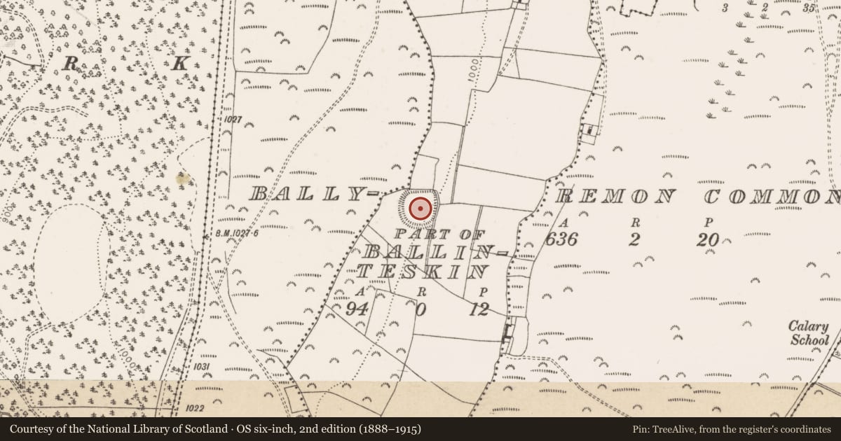 Ordnance Survey six-inch map, 2nd edition (1888–1915) covering the location of Ringfort - rath, Ballinteskin (Detached portions), County Wicklow, with a pin at the register's coordinates