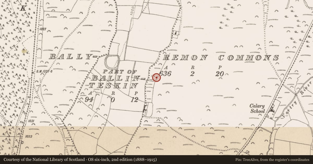 Ordnance Survey six-inch map, 2nd edition (1888–1915) covering the location of Fulacht fia, Ballyremon Commons, County Wicklow, with a pin at the register's coordinates