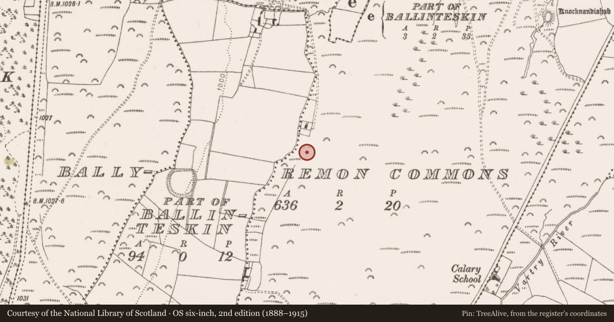 Ordnance Survey six-inch map, 2nd edition (1888–1915) covering the location of Fulacht fia, Ballyremon Commons, County Wicklow, with a pin at the register's coordinates