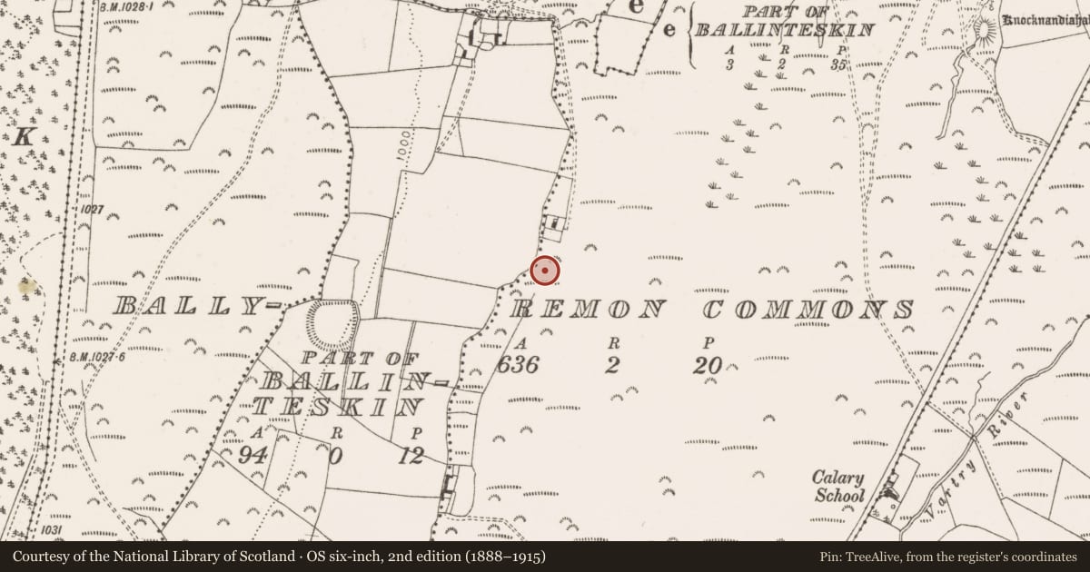 Ordnance Survey six-inch map, 2nd edition (1888–1915) covering the location of Fulacht fia, Ballyremon Commons, County Wicklow, with a pin at the register's coordinates
