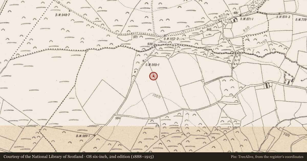 Ordnance Survey six-inch map, 2nd edition (1888–1915) covering the location of Cist, Calary Lower, County Wicklow, with a pin at the register's coordinates
