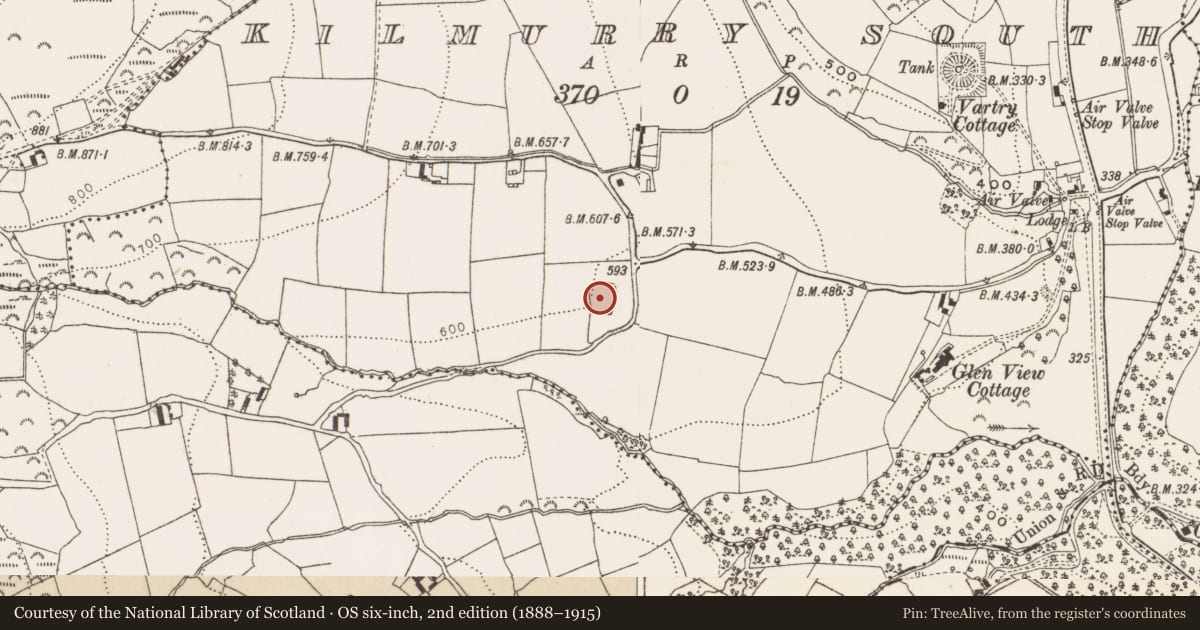 Ordnance Survey six-inch map, 2nd edition (1888–1915) covering the location of Graveyard, Kilmurry South, County Wicklow, with a pin at the register's coordinates