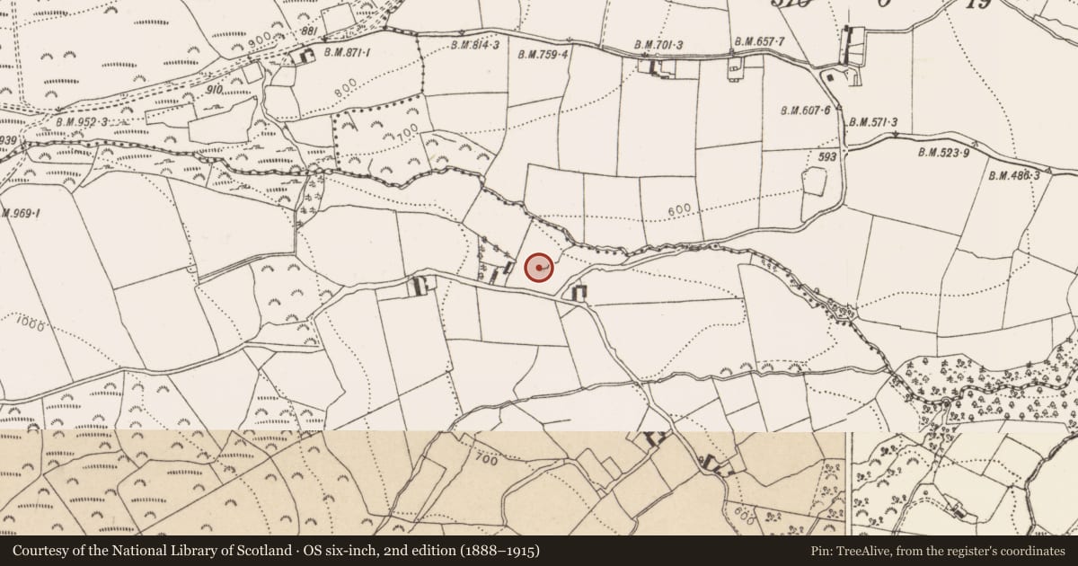 Ordnance Survey six-inch map, 2nd edition (1888–1915) covering the location of Ritual site - holy well, Calary Lower, County Wicklow, with a pin at the register's coordinates