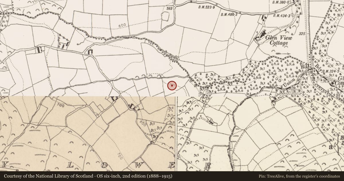 Ordnance Survey six-inch map, 2nd edition (1888–1915) covering the location of Fulacht fia, Calary Lower, County Wicklow, with a pin at the register's coordinates