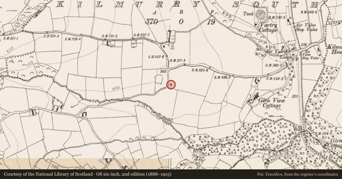 Ordnance Survey six-inch map, 2nd edition (1888–1915) covering the location of Church, Kilmurry South, County Wicklow, with a pin at the register's coordinates
