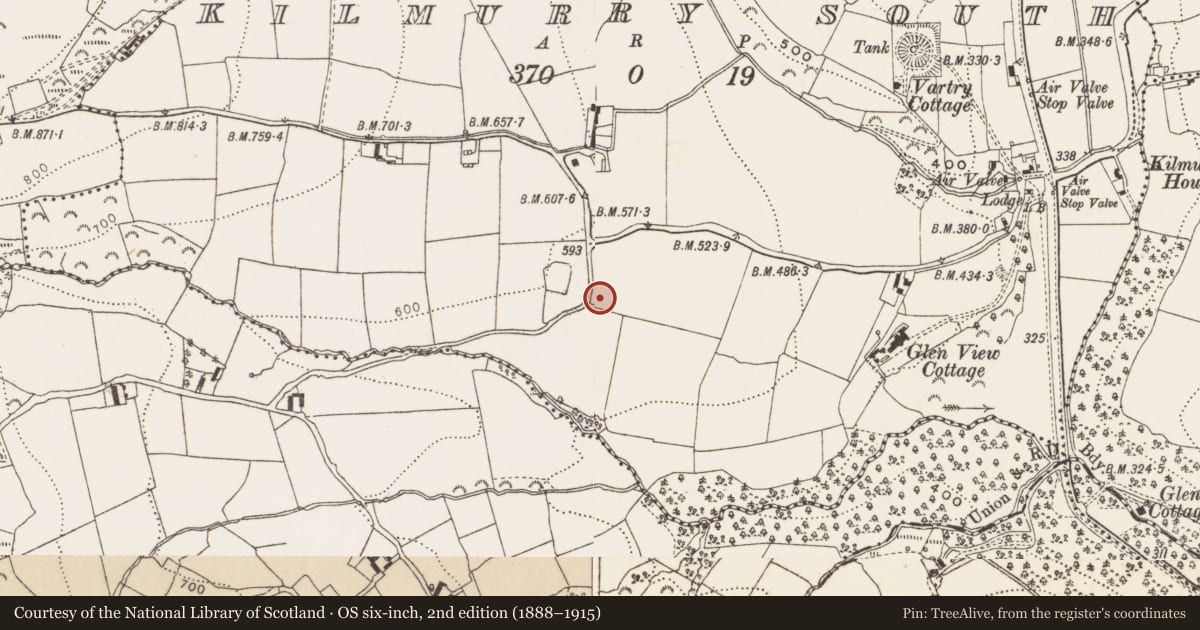 Ordnance Survey six-inch map, 2nd edition (1888–1915) covering the location of Bullaun stone, Kilmurry South, County Wicklow, with a pin at the register's coordinates