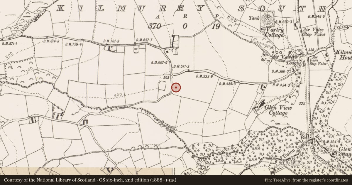 Ordnance Survey six-inch map, 2nd edition (1888–1915) covering the location of Graveyard, Kilmurry South, County Wicklow, with a pin at the register's coordinates