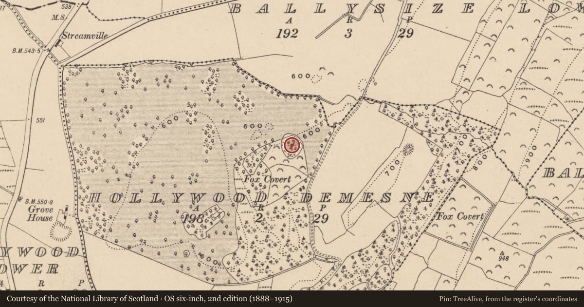 Ordnance Survey six-inch map, 2nd edition (1888–1915) covering the location of Designed landscape feature, Hollywood Demesne, County Wicklow, with a pin at the register's coordinates