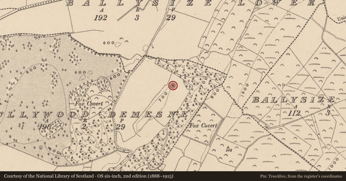 Ordnance Survey six-inch map, 2nd edition (1888–1915) covering the location of Ringfort - rath, Hollywood Demesne, County Wicklow, with a pin at the register's coordinates