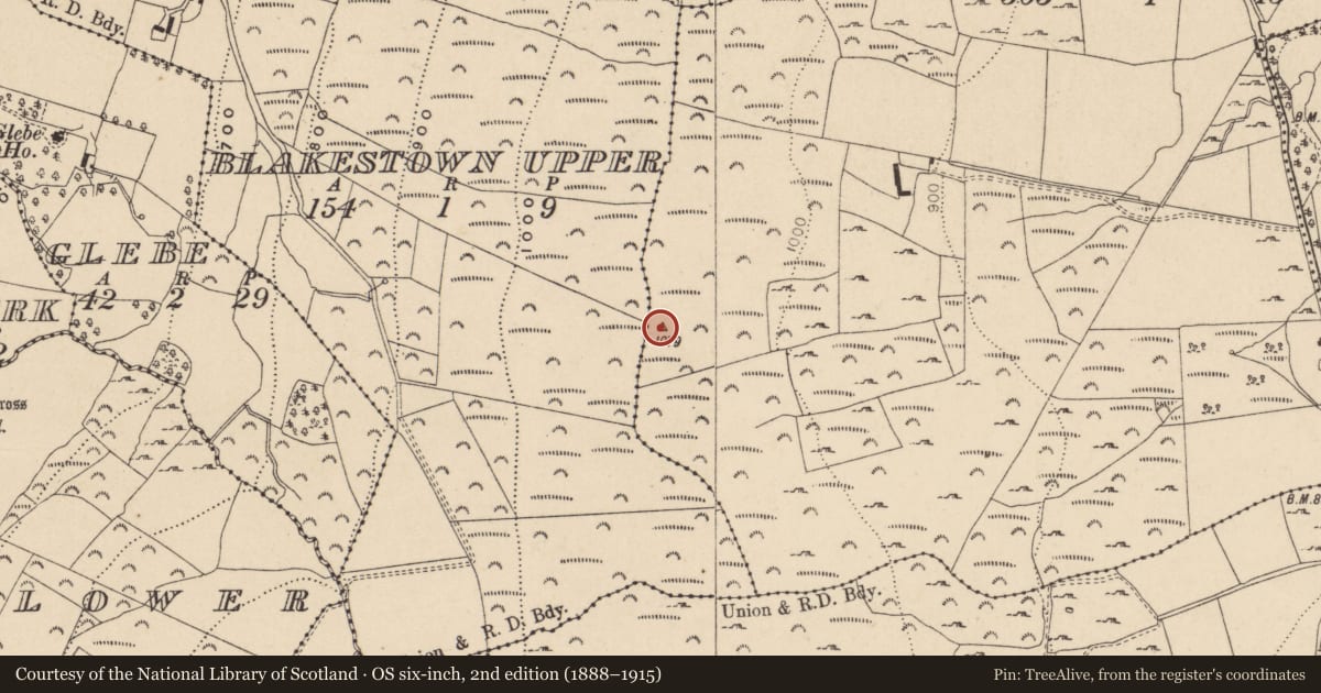 Ordnance Survey six-inch map, 2nd edition (1888–1915) covering the location of Cairn - unclassified, Lugnagroagh, County Wicklow, with a pin at the register's coordinates