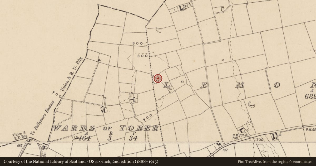 Ordnance Survey six-inch map, 2nd edition (1888–1915) covering the location of Burial mound, Lemonstown, County Wicklow, with a pin at the register's coordinates