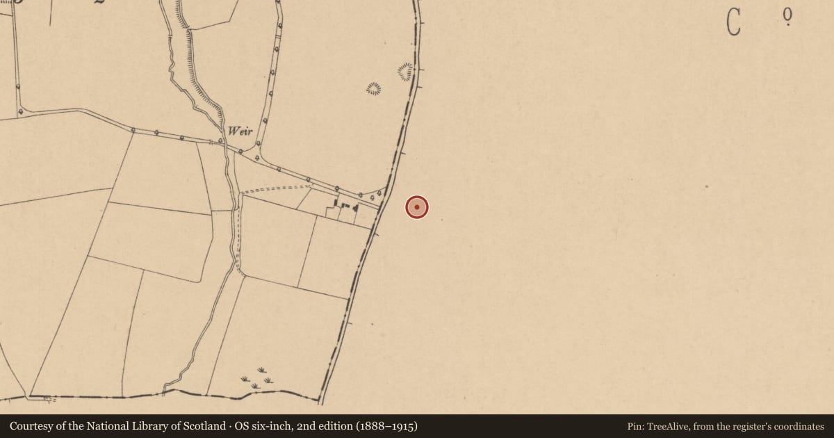 Ordnance Survey six-inch map, 2nd edition (1888–1915) covering the location of Ringfort - rath, Newtown, County Wicklow, with a pin at the register's coordinates
