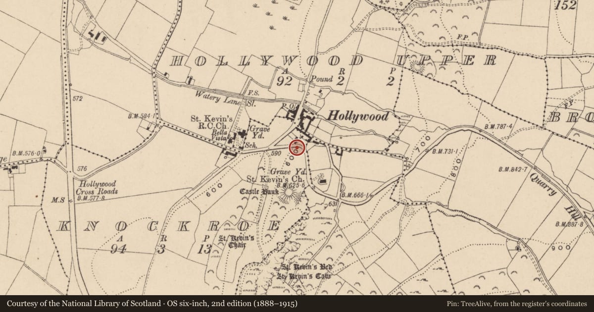 Ordnance Survey six-inch map, 2nd edition (1888–1915) covering the location of Historic town, County Wicklow, with a pin at the register's coordinates