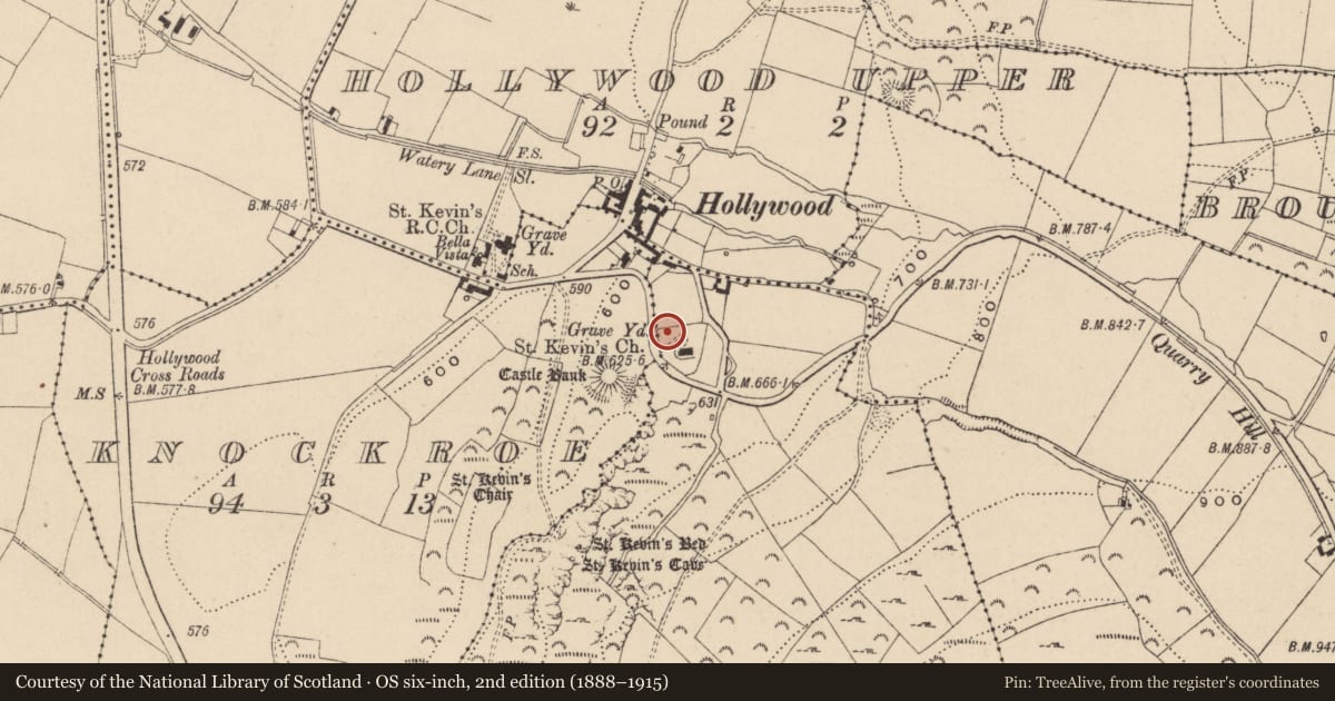 Ordnance Survey six-inch map, 2nd edition (1888–1915) covering the location of Graveslab, Dragoonhill, County Wicklow, with a pin at the register's coordinates