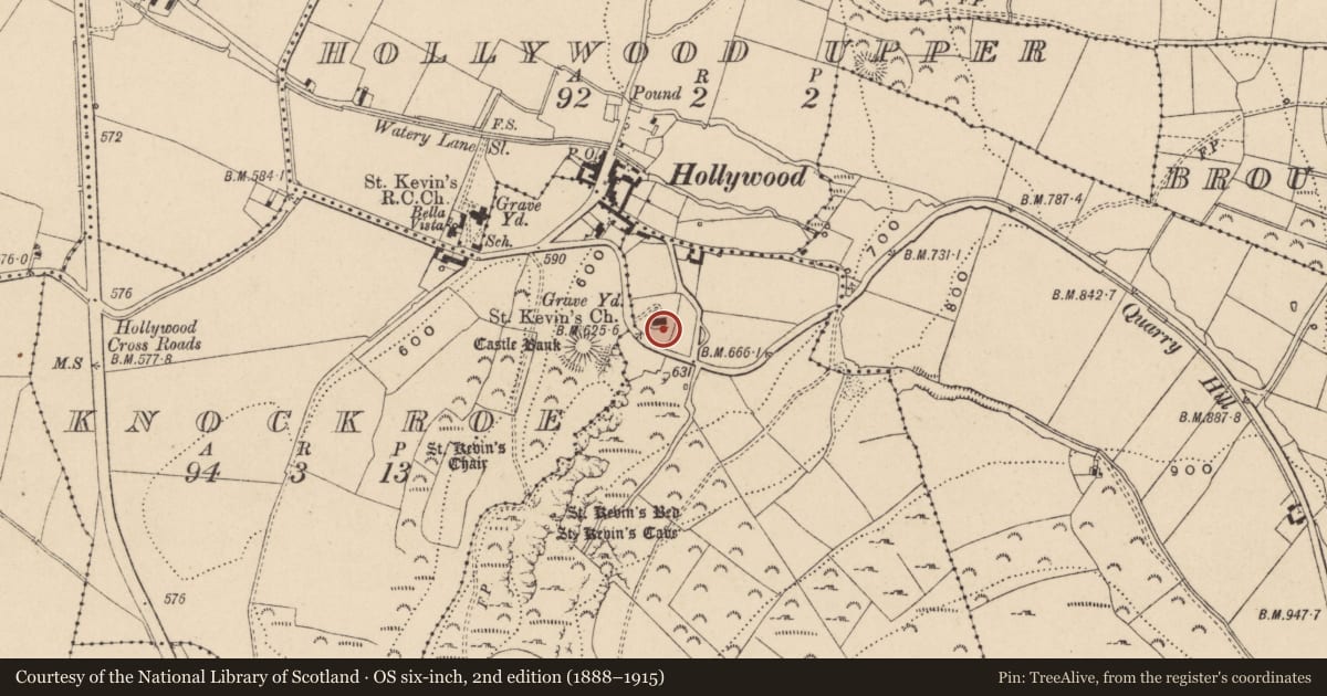 Ordnance Survey six-inch map, 2nd edition (1888–1915) covering the location of Graveslab, Dragoonhill, County Wicklow, with a pin at the register's coordinates