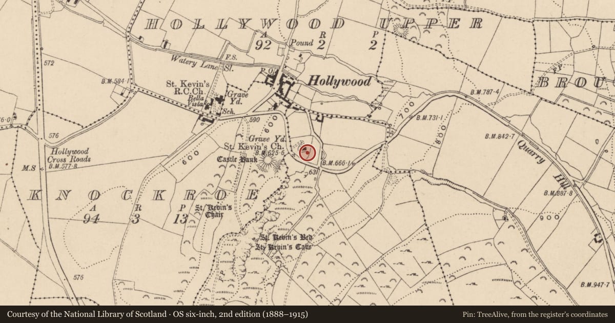 Ordnance Survey six-inch map, 2nd edition (1888–1915) covering the location of Graveslab, Dragoonhill, County Wicklow, with a pin at the register's coordinates