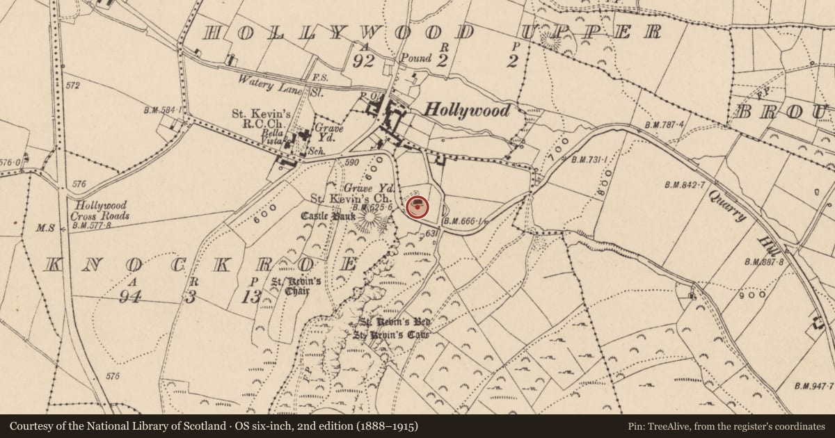 Ordnance Survey six-inch map, 2nd edition (1888–1915) covering the location of Cross-slab, Dragoonhill, County Wicklow, with a pin at the register's coordinates