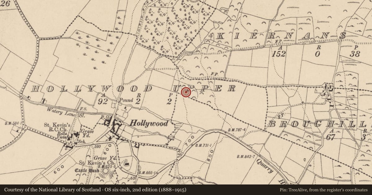Ordnance Survey six-inch map, 2nd edition (1888–1915) covering the location of Ringfort - rath, Hollywood Upper, County Wicklow, with a pin at the register's coordinates