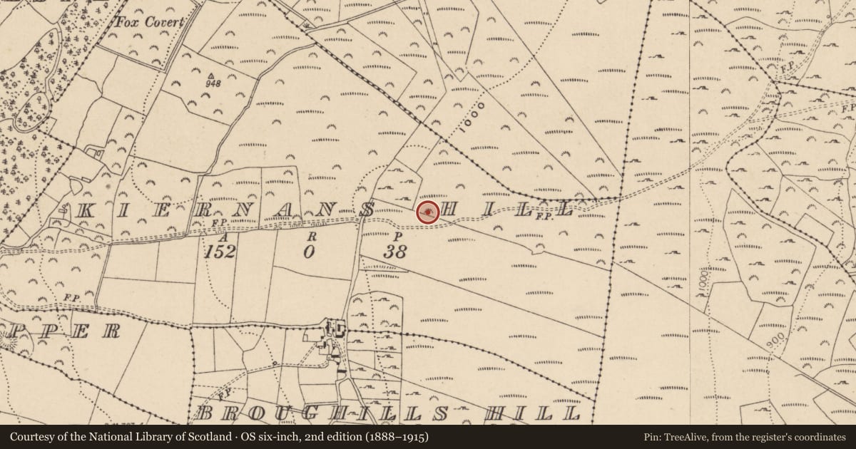 Ordnance Survey six-inch map, 2nd edition (1888–1915) covering the location of Cairn - unclassified, Kiernans Hill, County Wicklow, with a pin at the register's coordinates