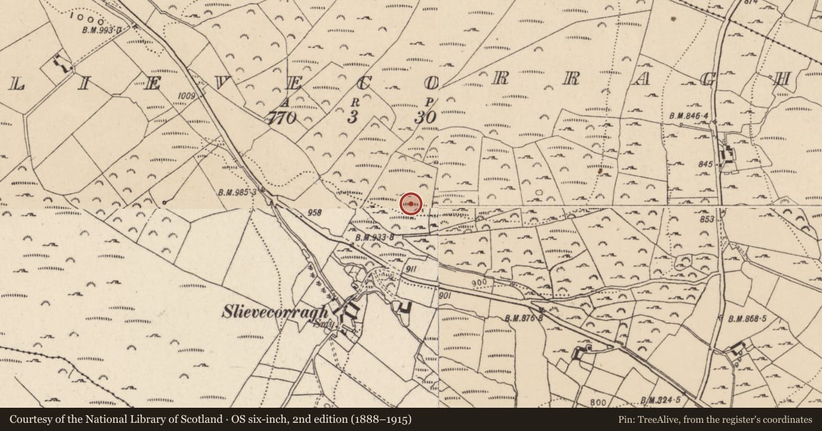 Ordnance Survey six-inch map, 2nd edition (1888–1915) covering the location of Enclosure, Slievecorragh, County Wicklow, with a pin at the register's coordinates