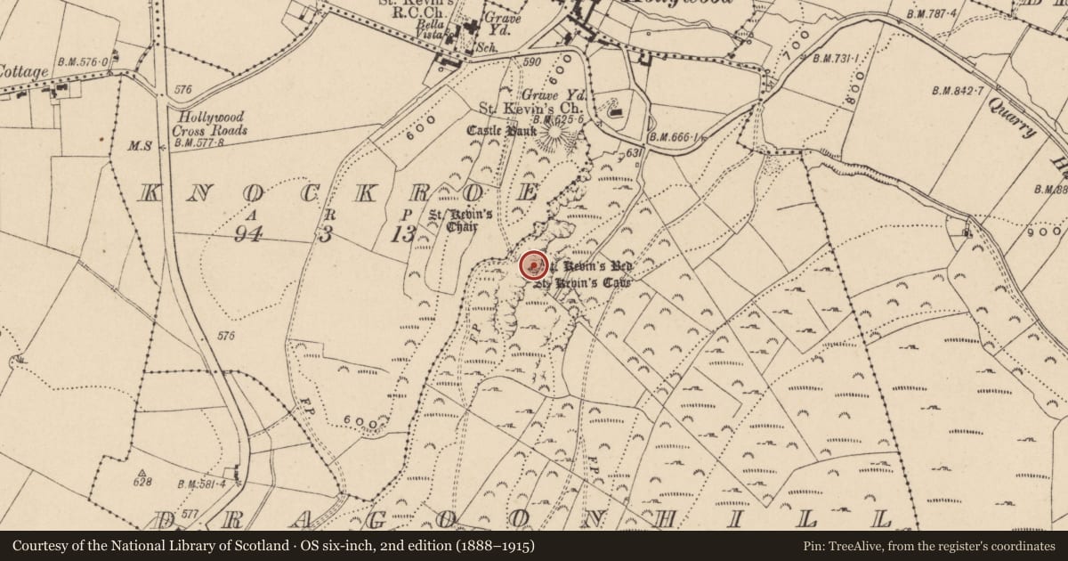 Ordnance Survey six-inch map, 2nd edition (1888–1915) covering the location of Cave, Dragoonhill, County Wicklow, with a pin at the register's coordinates