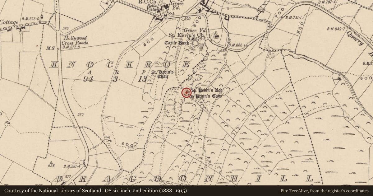 Ordnance Survey six-inch map, 2nd edition (1888–1915) covering the location of Cave, Dragoonhill, County Wicklow, with a pin at the register's coordinates