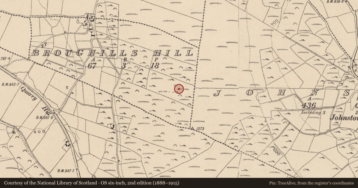 Ordnance Survey six-inch map, 2nd edition (1888–1915) covering the location of Standing stone, Broughills Hill, County Wicklow, with a pin at the register's coordinates