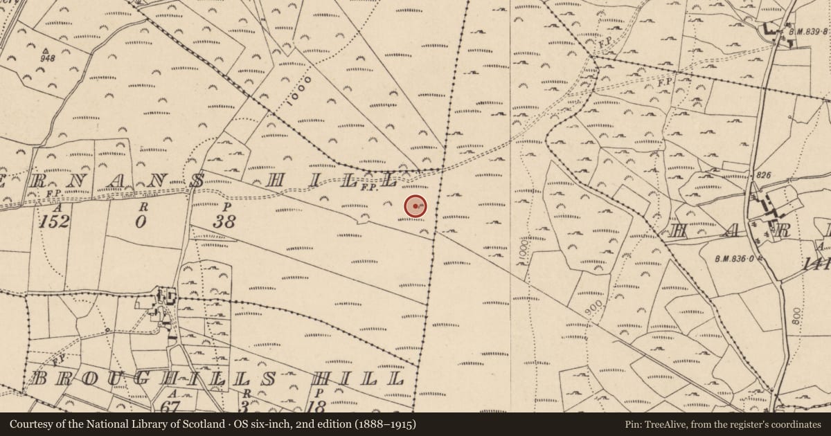 Ordnance Survey six-inch map, 2nd edition (1888–1915) covering the location of Standing stone, Kiernans Hill, County Wicklow, with a pin at the register's coordinates