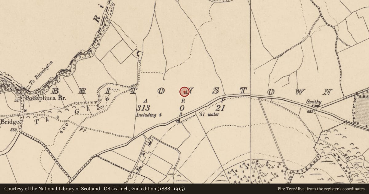 Ordnance Survey six-inch map, 2nd edition (1888–1915) covering the location of Mound, Britonstown, County Wicklow, with a pin at the register's coordinates