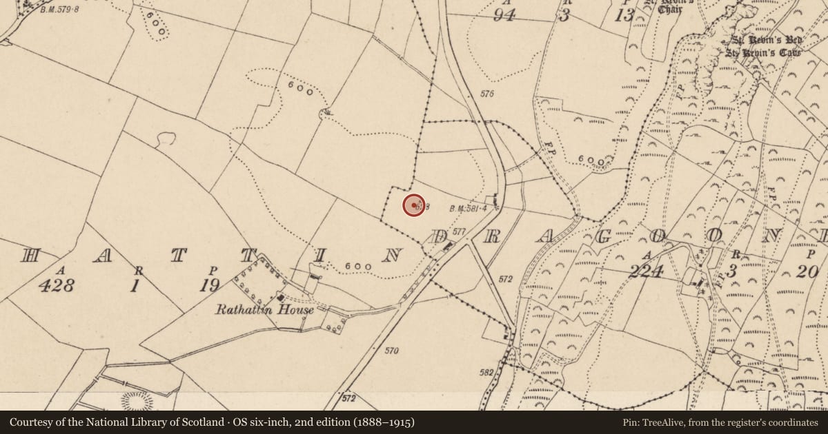 Ordnance Survey six-inch map, 2nd edition (1888–1915) covering the location of Enclosure, Dragoonhill, County Wicklow, with a pin at the register's coordinates