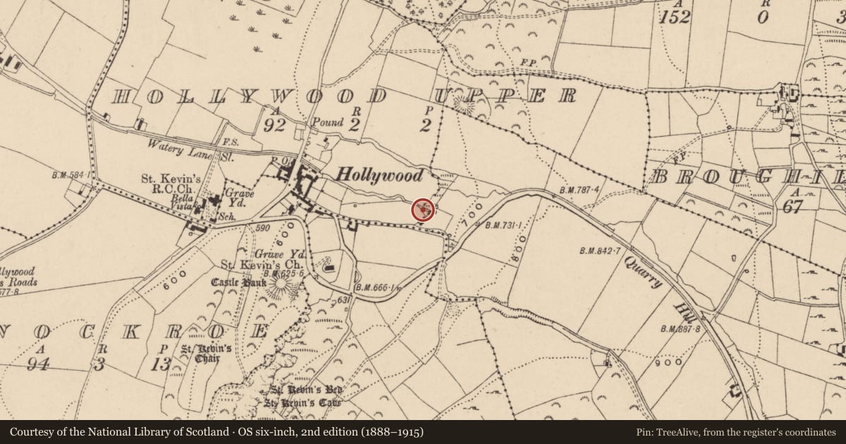 Ordnance Survey six-inch map, 2nd edition (1888–1915) covering the location of Bullaun stone, Hollywood Upper, County Wicklow, with a pin at the register's coordinates