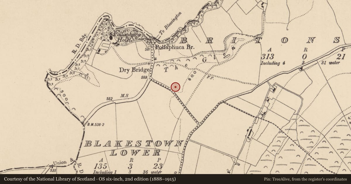 Ordnance Survey six-inch map, 2nd edition (1888–1915) covering the location of Flat cemetery, Britonstown, County Wicklow, with a pin at the register's coordinates