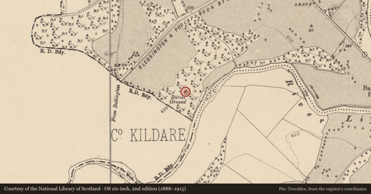 Ordnance Survey six-inch map, 2nd edition (1888–1915) covering the location of Burial ground, Russborough, County Wicklow, with a pin at the register's coordinates