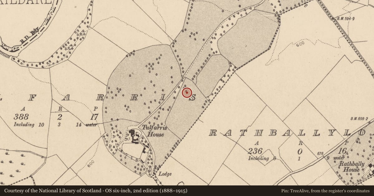 Ordnance Survey six-inch map, 2nd edition (1888–1915) covering the location of Enclosure, Tulfarris, County Wicklow, with a pin at the register's coordinates