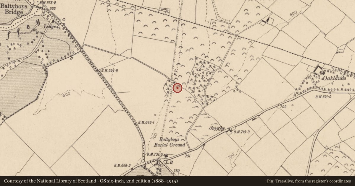 Ordnance Survey six-inch map, 2nd edition (1888–1915) covering the location of Hut site, Boystown Or Baltyboys Upper, County Wicklow, with a pin at the register's coordinates