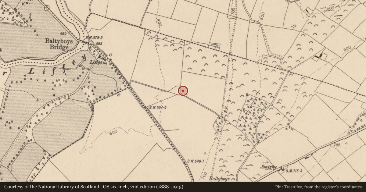 Ordnance Survey six-inch map, 2nd edition (1888–1915) covering the location of Enclosure, Boystown Or Baltyboys Upper, County Wicklow, with a pin at the register's coordinates