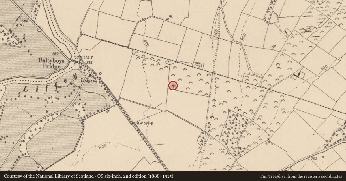 Ordnance Survey six-inch map, 2nd edition (1888–1915) covering the location of Enclosure, Boystown Or Baltyboys Upper, County Wicklow, with a pin at the register's coordinates