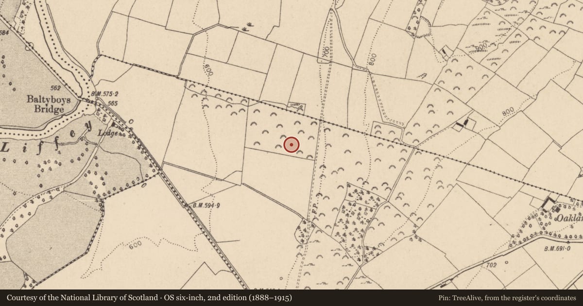Ordnance Survey six-inch map, 2nd edition (1888–1915) covering the location of Enclosure, Boystown Or Baltyboys Upper, County Wicklow, with a pin at the register's coordinates