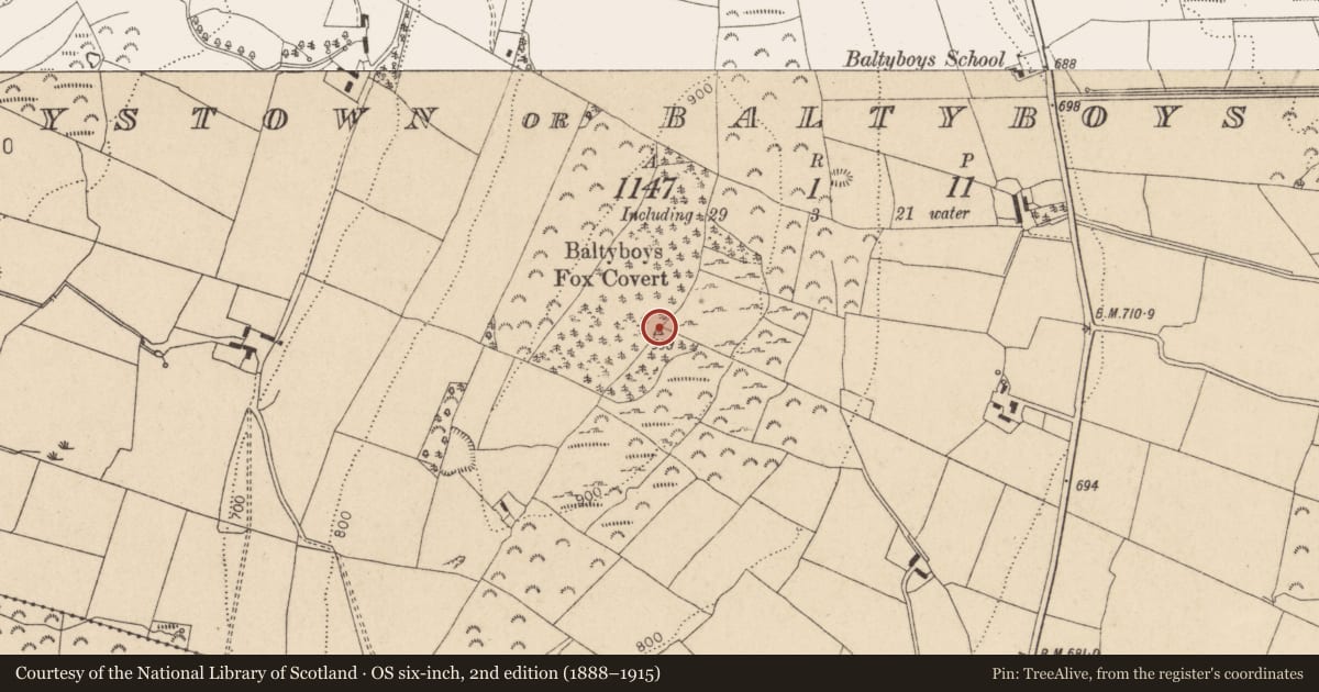 Ordnance Survey six-inch map, 2nd edition (1888–1915) covering the location of Castle - unclassified, Boystown Or Baltyboys Lower, County Wicklow, with a pin at the register's coordinates
