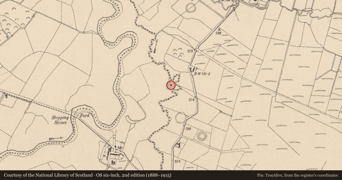 Ordnance Survey six-inch map, 2nd edition (1888–1915) covering the location of Ringfort - rath, Ballinahown, County Wicklow, with a pin at the register's coordinates