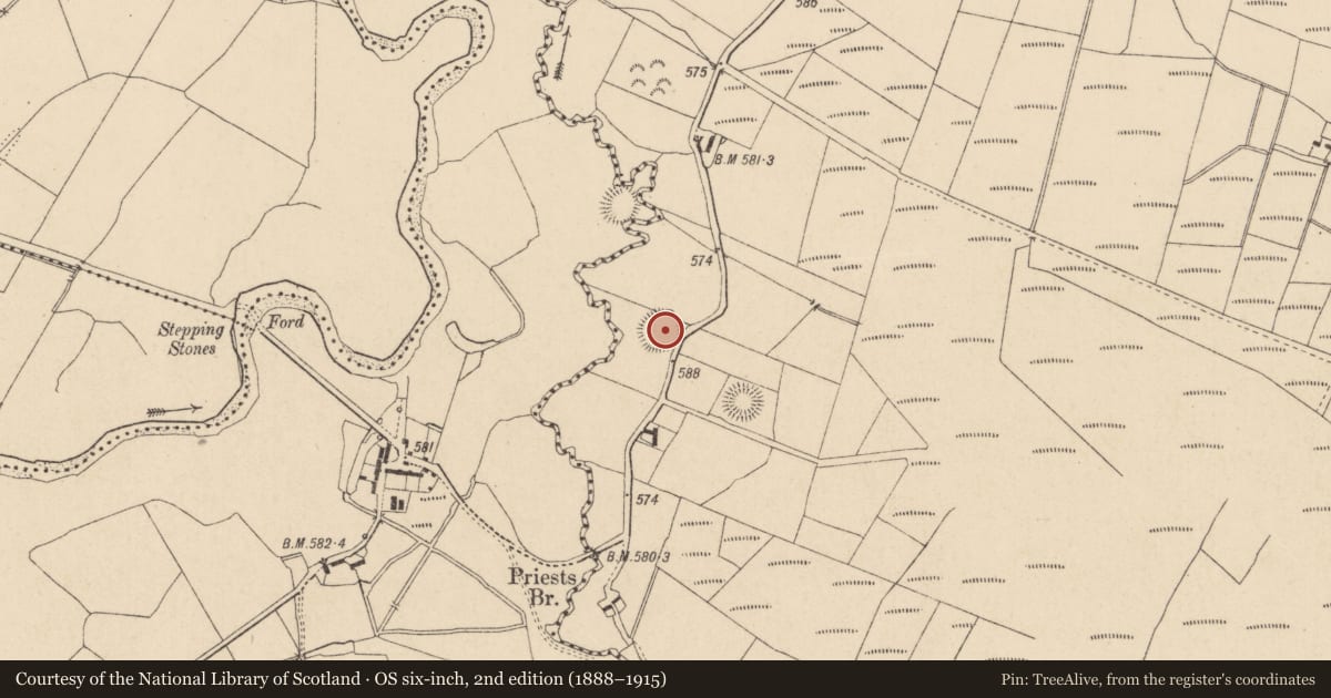 Ordnance Survey six-inch map, 2nd edition (1888–1915) covering the location of Ringfort - rath, Lackan, County Wicklow, with a pin at the register's coordinates