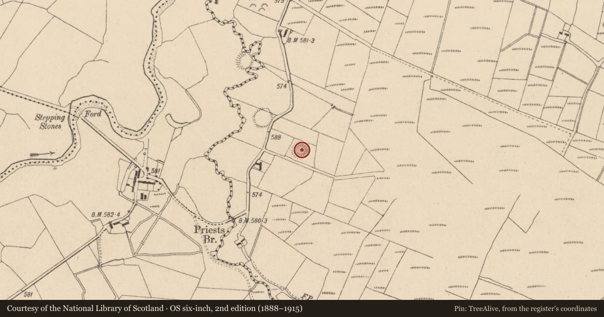 Ordnance Survey six-inch map, 2nd edition (1888–1915) covering the location of Hut site, Lackan, County Wicklow, with a pin at the register's coordinates
