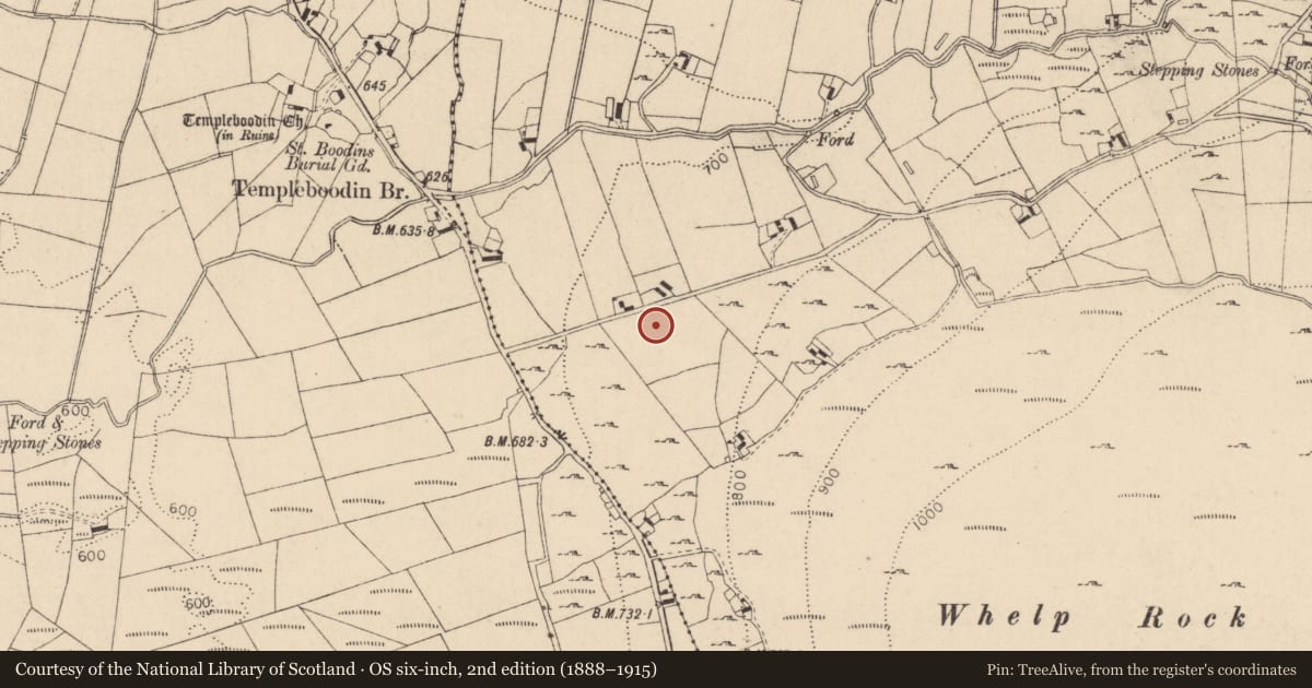 Ordnance Survey six-inch map, 2nd edition (1888–1915) covering the location of Bullaun stone, Kilbeg, County Wicklow, with a pin at the register's coordinates