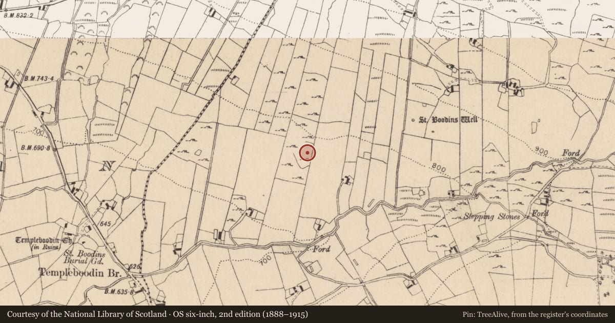 Ordnance Survey six-inch map, 2nd edition (1888–1915) covering the location of Enclosure, Kilbeg, County Wicklow, with a pin at the register's coordinates
