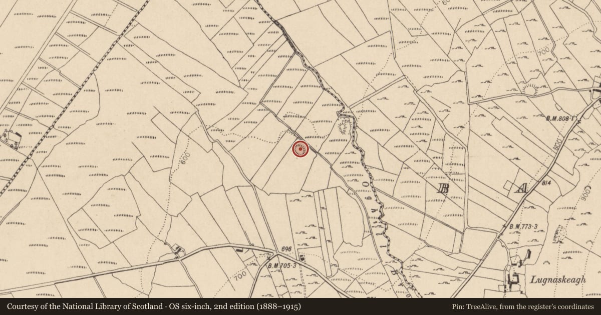 Ordnance Survey six-inch map, 2nd edition (1888–1915) covering the location of Ringfort - rath, Ballyknockan, County Wicklow, with a pin at the register's coordinates
